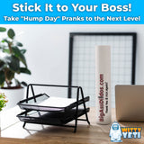 Alternative Product Image: Side view or alternate angle of the Witty Yeti Adult Novelty Prank Gift Box emphasizing joke packaging.