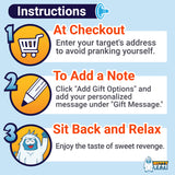 Alternative Product Image: Instructions for ordering a prank, including entering the target's address, adding a custom note, and enjoying the reaction.